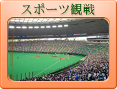 スポーツ観戦