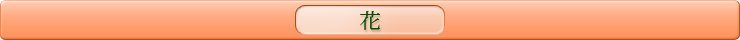 ウィル埼玉グループ お出かけ情報 花