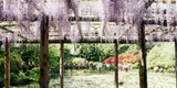 久伊豆神社