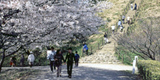 埼玉古墳群・さきたま風土記の丘
